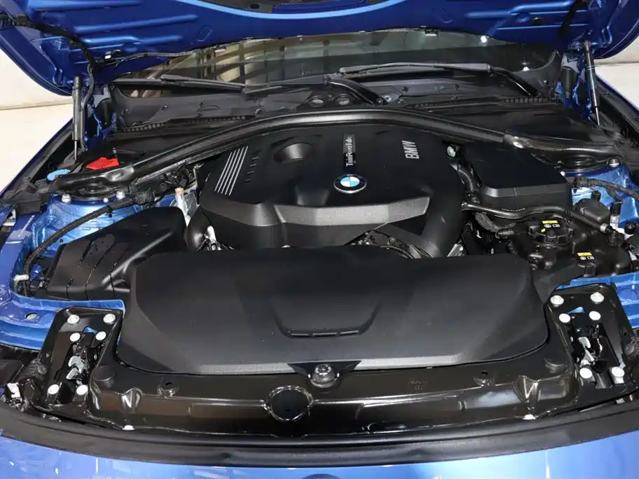 BMW BMW 3 Series 2019 320Li M Sport Package 2018 - thumbnail 19