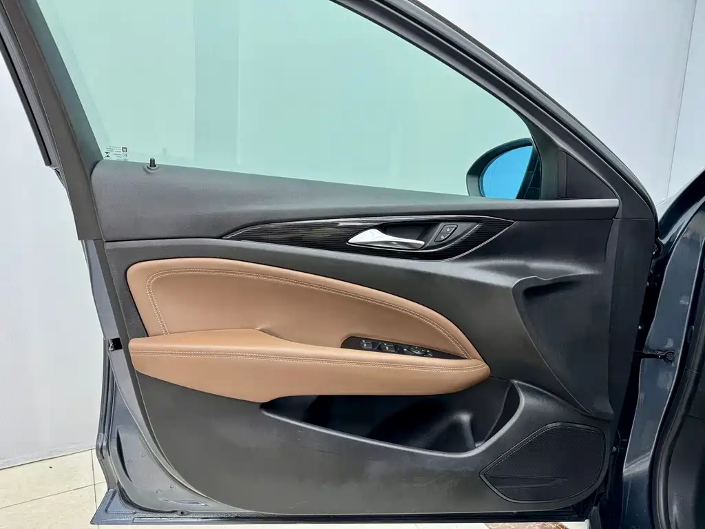 Buick Buick Regal 2019 20T Elite Model VI 2020 - thumbnail 8
