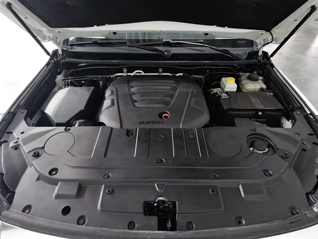 Haval Haval H9 2020 2.0T Gasoline AWD Premium 7-seater 2020 - thumbnail 6