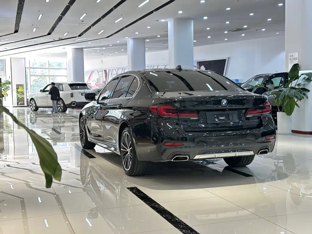 BMW BMW 5 Series 2022 530Li Leading Model M Sport Package 2022 - thumbnail 15