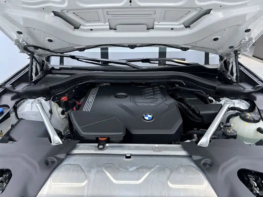 BMW BMW X3 2023 xDrive30i Leading Model M Night Package 2023 - thumbnail 29