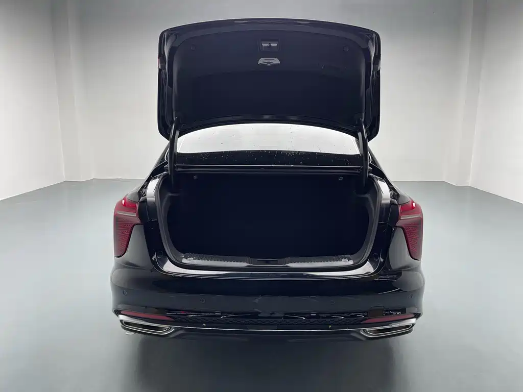 Hongqi Hongqi H5 2025 2.0T Automatic Flag Enjoyment Edition 2024 - thumbnail 13