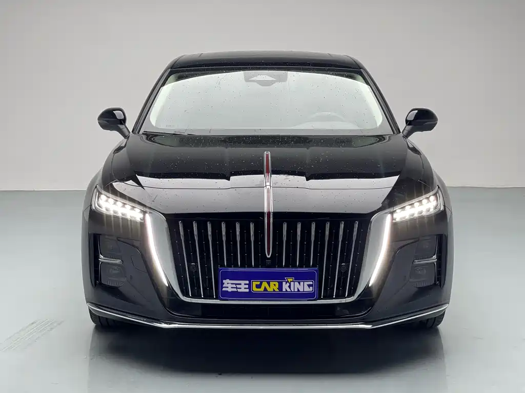 Hongqi Hongqi H5 2025 2.0T Automatic Flag Enjoyment Edition 2024 - thumbnail 22