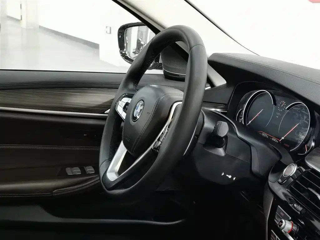 BMW BMW 5 Series 2018 Facelift 530Li Luxury Package 2018 - thumbnail 22