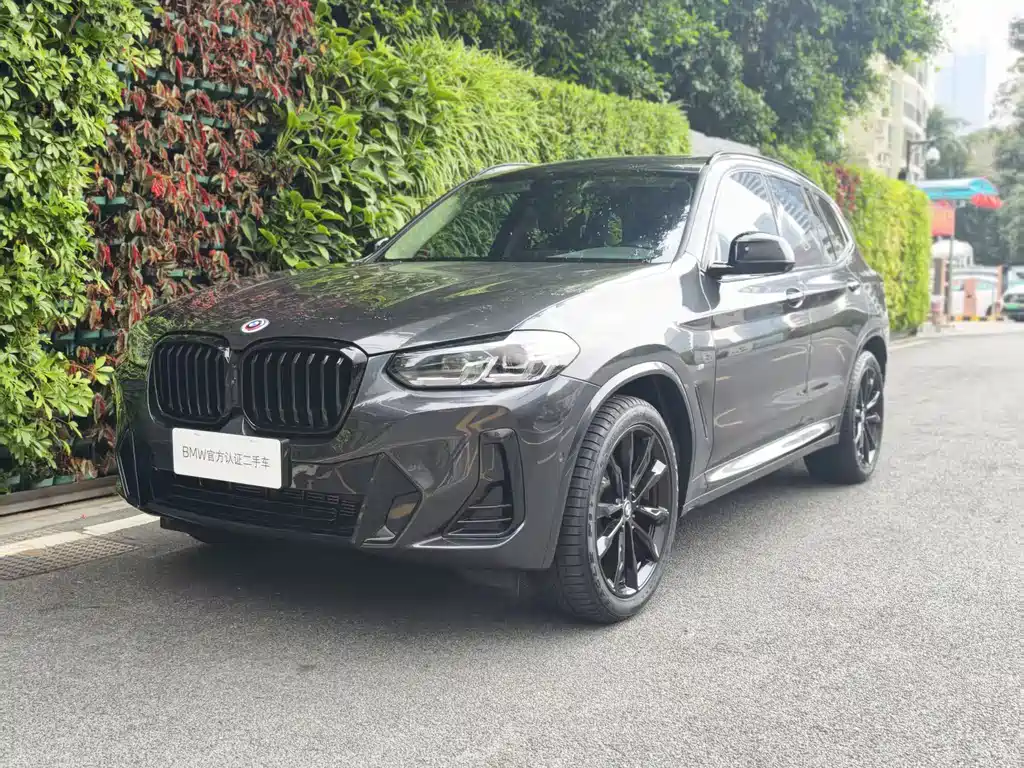 BMW BMW X3 2023 xDrive30i Leading M Night Package 2024