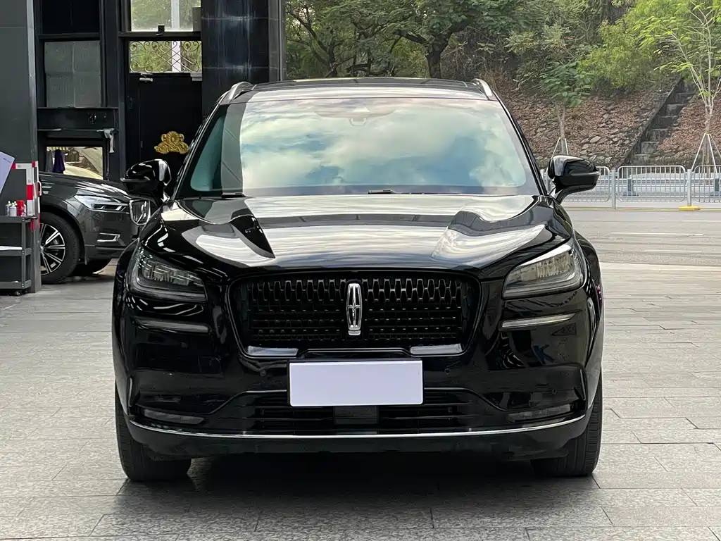 Lincoln Liberator 2020 2.0T Two-Wheel Drive Elegant Edition 2021 - thumbnail 2