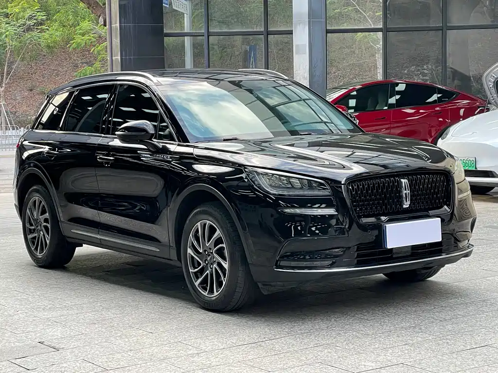 Lincoln Liberator 2020 2.0T Two-Wheel Drive Elegant Edition 2021 - thumbnail 3