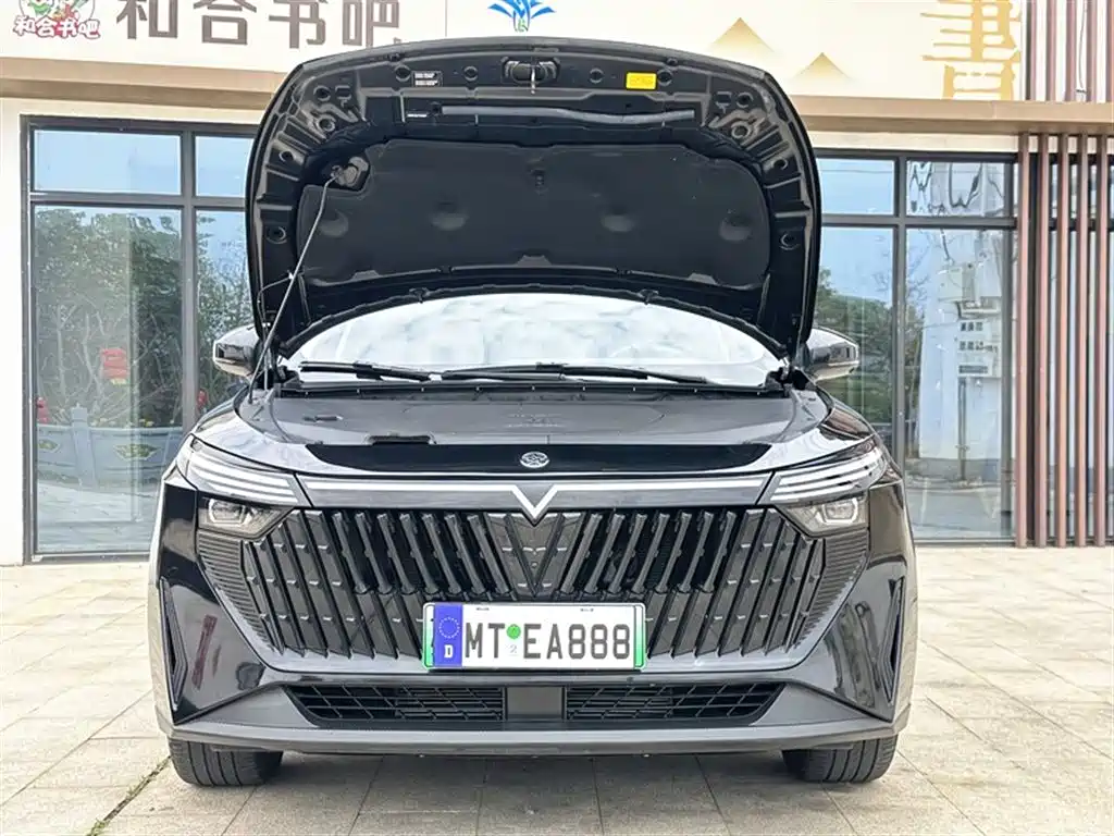 Qichen Dongfeng Nissan Qichen D50 DD-i 2023 110km iE Edition 2023 - thumbnail 18
