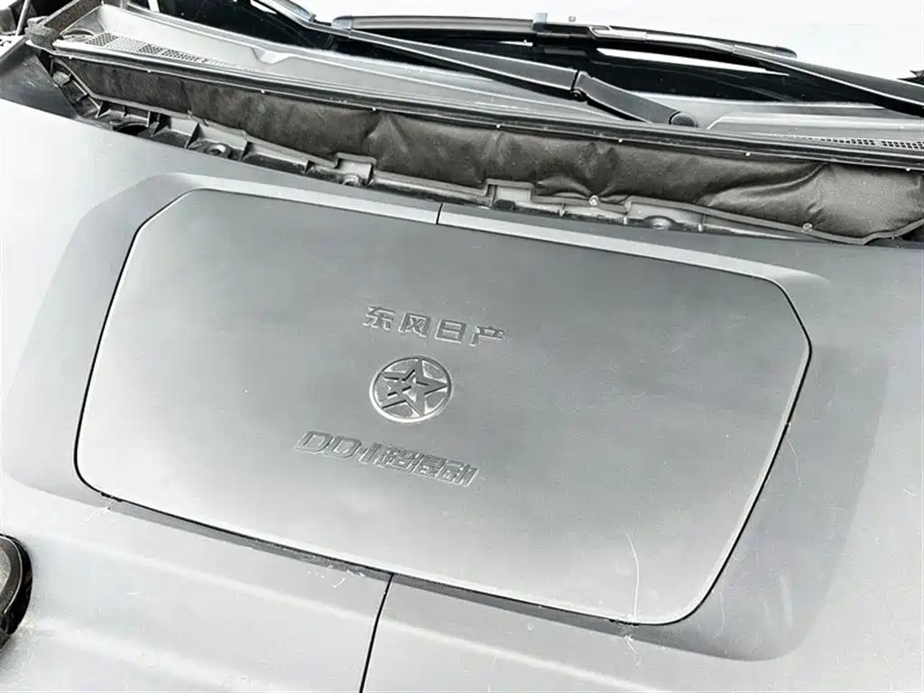 Qichen Dongfeng Nissan Qichen D50 DD-i 2023 110km iE Edition 2023 - thumbnail 19