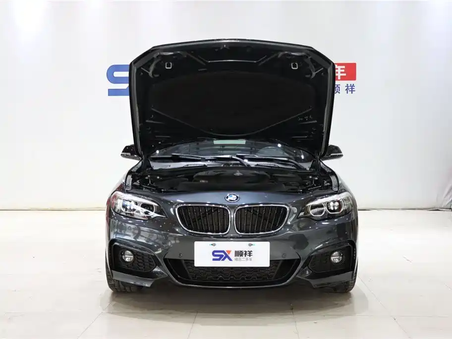 BMW BMW 2 Series Convertible 2018 225i M Sport 2019 - thumbnail 12