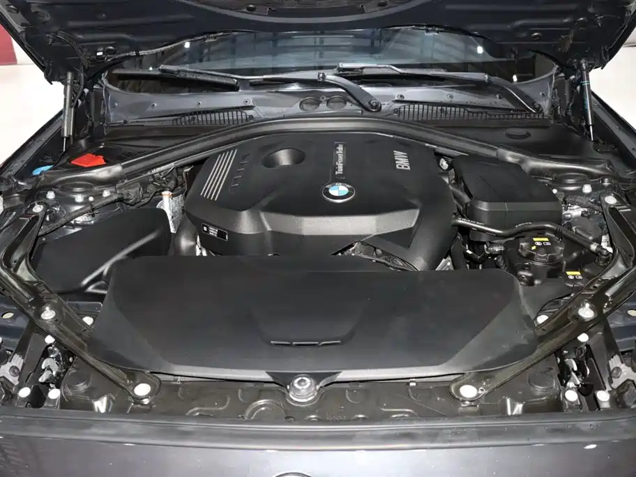 BMW BMW 2 Series Convertible 2018 225i M Sport 2019 - thumbnail 13