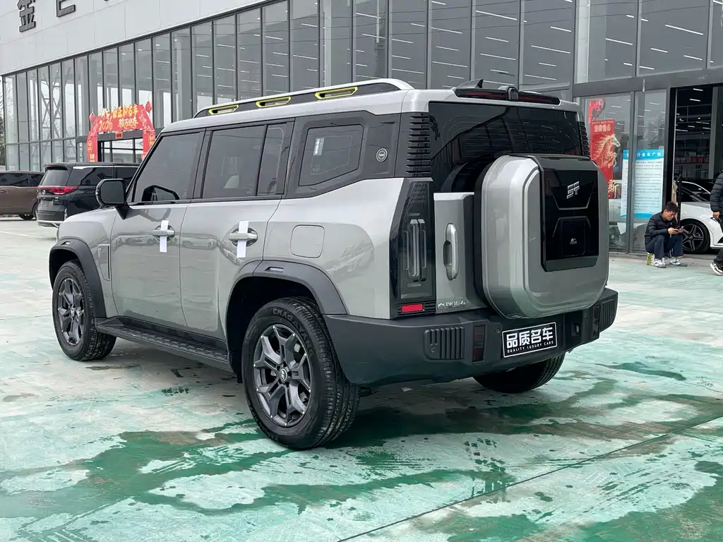 Jetour Shanhai Jetour Traveler C-DM 2024 C-DM 129KM Forest Edition 2024 - thumbnail 15