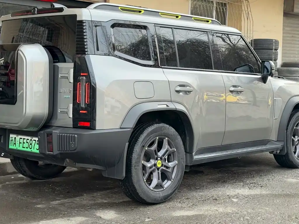 Jetour Shanhai Jetour Traveler C-DM 2024 C-DM 129KM Wilderness Edition 2024 - thumbnail 9