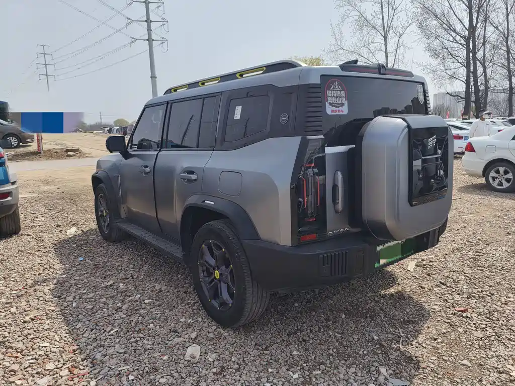Jetour Shanhai Jetour Traveler C-DM 2024 C-DM 129KM Forest Edition 2024 - thumbnail 6