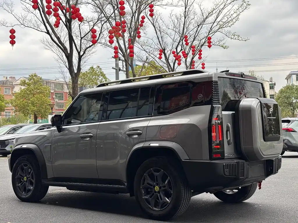 Jetour Shanhai Jetour Traveler C-DM 2024 C-DM 129KM Forest Edition 2024 - thumbnail 10