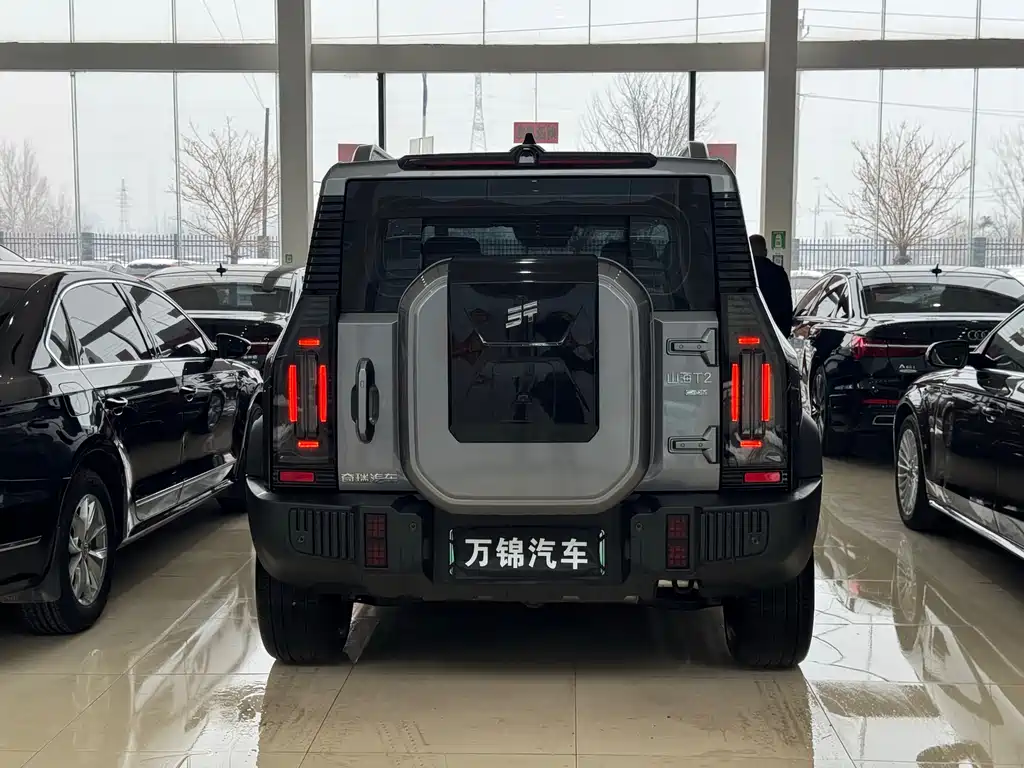 Jetour Shanhai Jetour Traveler C-DM 2024 C-DM 129KM Forest Edition 2025 - thumbnail 5
