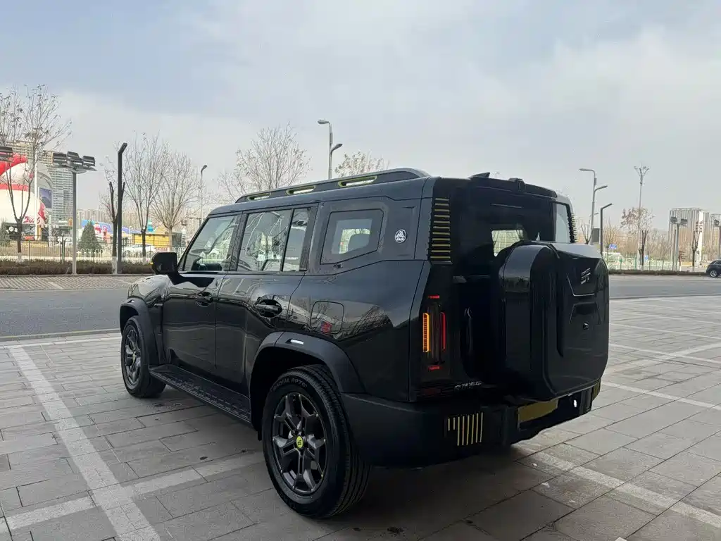 Jetour Shanhai Jetour Traveler C-DM 2024 C-DM 129KM Forest Edition 2025 - thumbnail 4