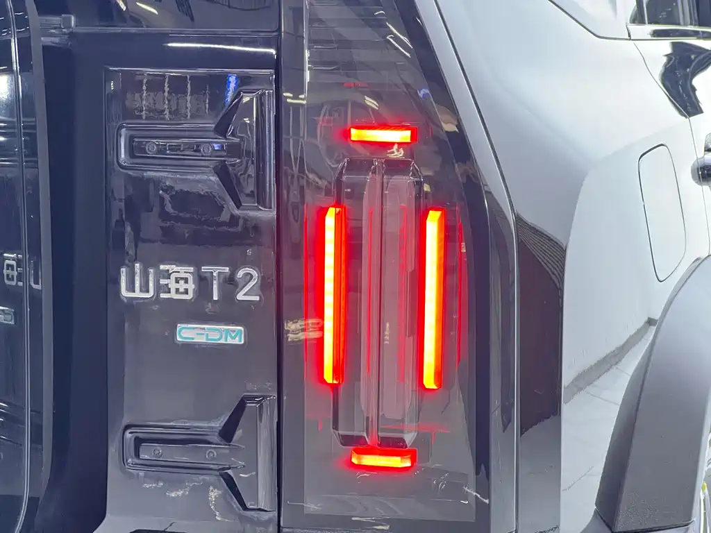 Jetour Shanhai Jetour Traveler C-DM 2024 C-DM 208KM Wild Edition 2025 - thumbnail 20