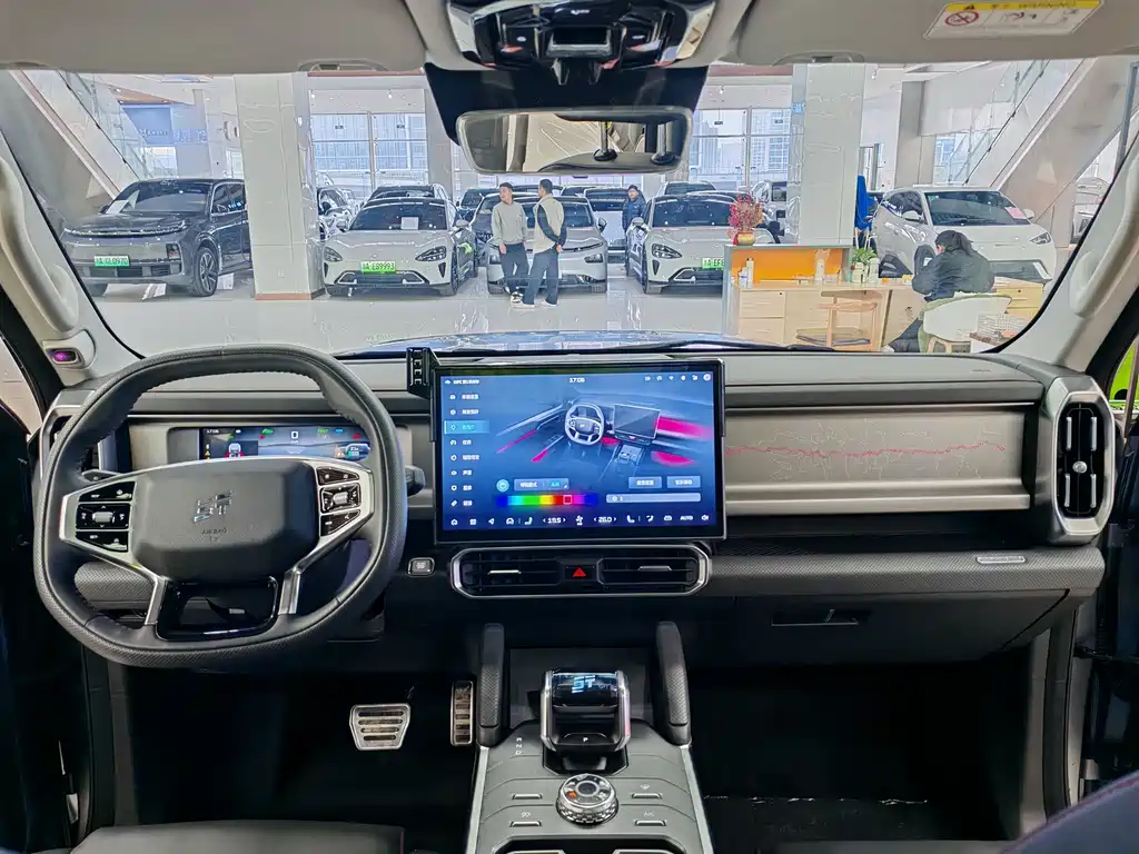 Jetour Shanhai Jetour Traveler C-DM 2024 C-DM 129KM Forest Edition 2024 - thumbnail 9