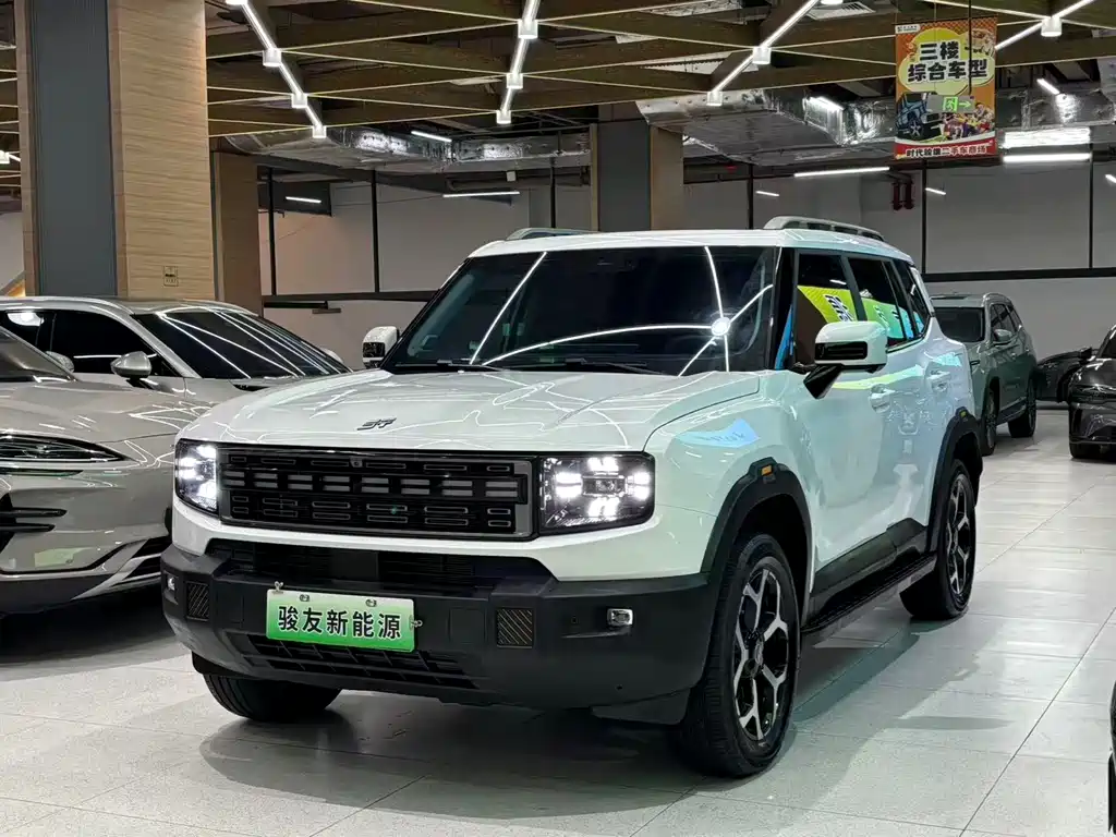 Jetour Shanhai Jetour Shanhai T1 2024 150km Seaview 2025