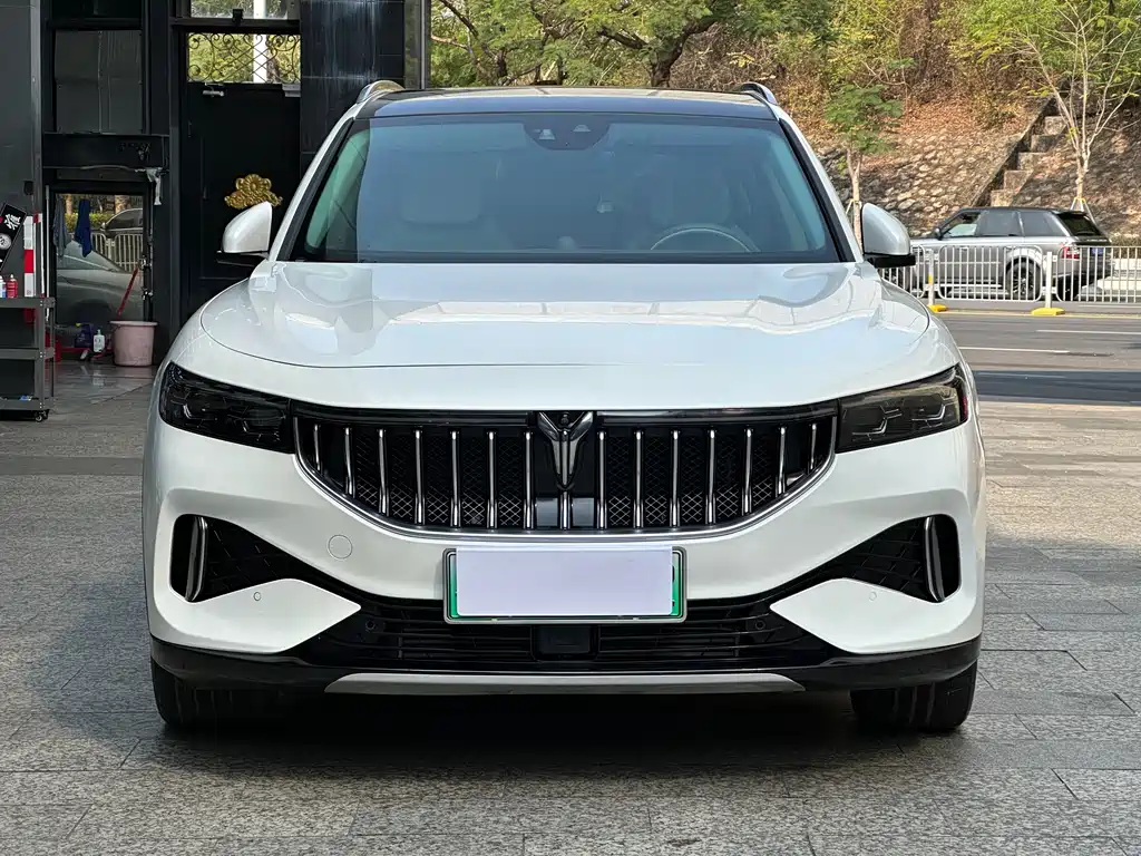 Lantu Auto Lantu FREE 2021 Standard Range Extended AWD Exclusive Luxury Package 2022 - thumbnail 2