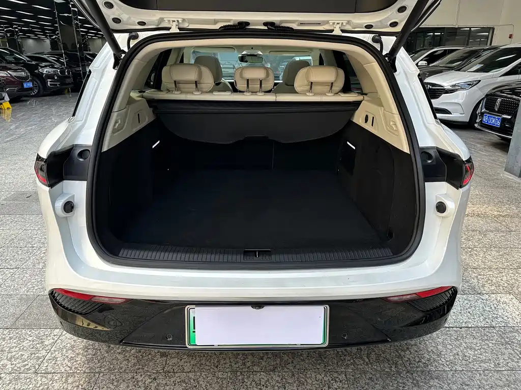Lantu Auto Lantu FREE 2021 Standard Range Extended AWD Exclusive Luxury Package 2022 - thumbnail 12