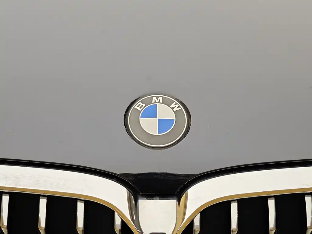 BMW BMW 5 Series 2021 Model Year Facelift 530Li Leading Edition Luxury Package 2021 - thumbnail 3