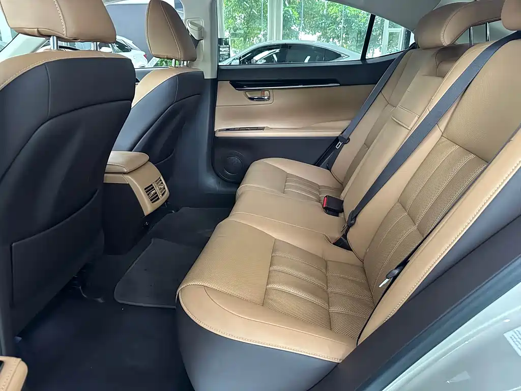 Lexus Lexus ES 2015 ES 200 Luxury Edition 2018 - thumbnail 10