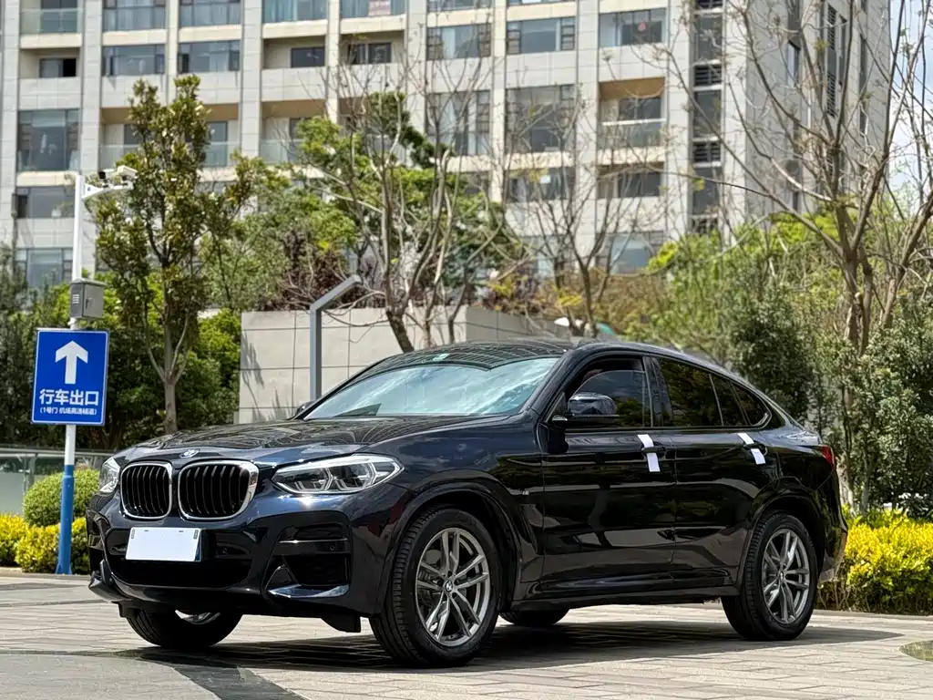 BMW BMW X4 2019 xDrive25i M Sport Package 2019