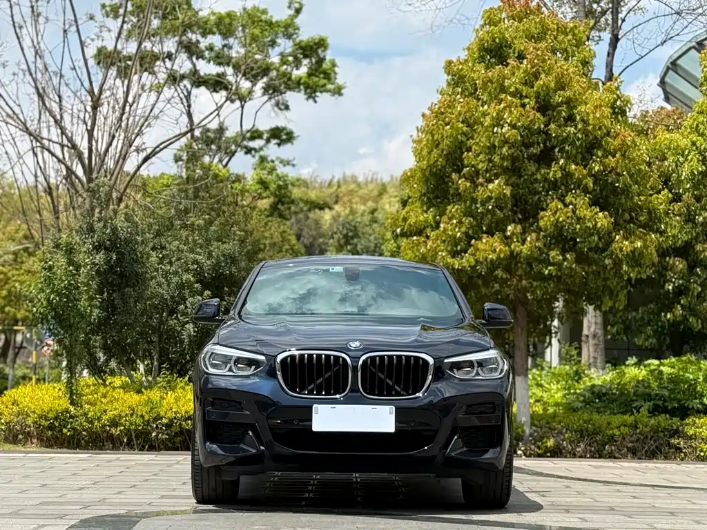 BMW BMW X4 2019 xDrive25i M Sport Package 2019 - thumbnail 2
