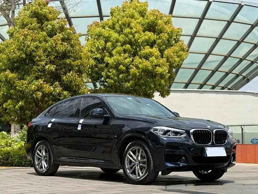 BMW BMW X4 2019 xDrive25i M Sport Package 2019 - thumbnail 3