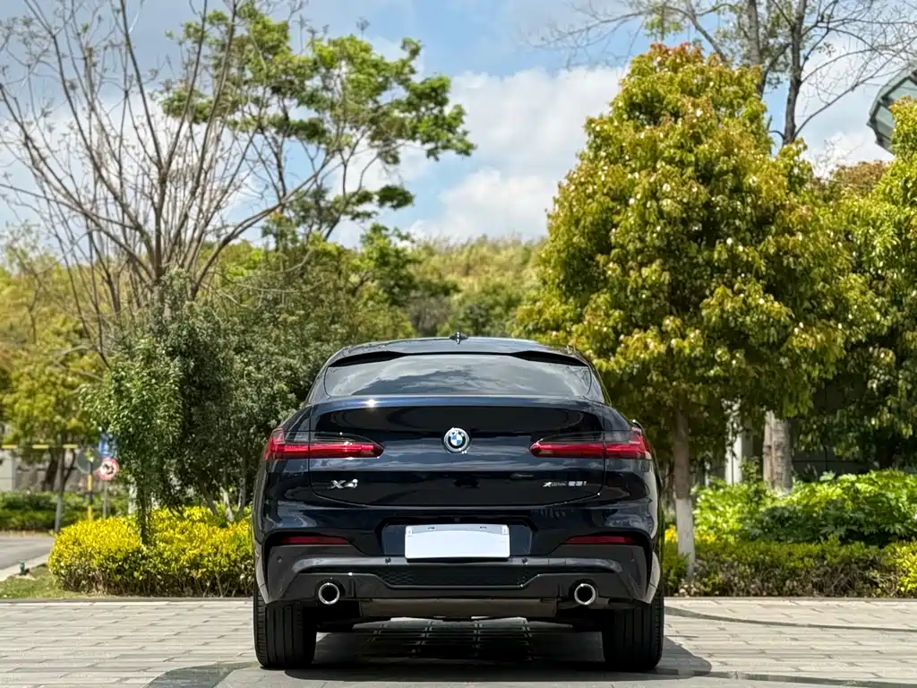BMW BMW X4 2019 xDrive25i M Sport Package 2019 - thumbnail 8