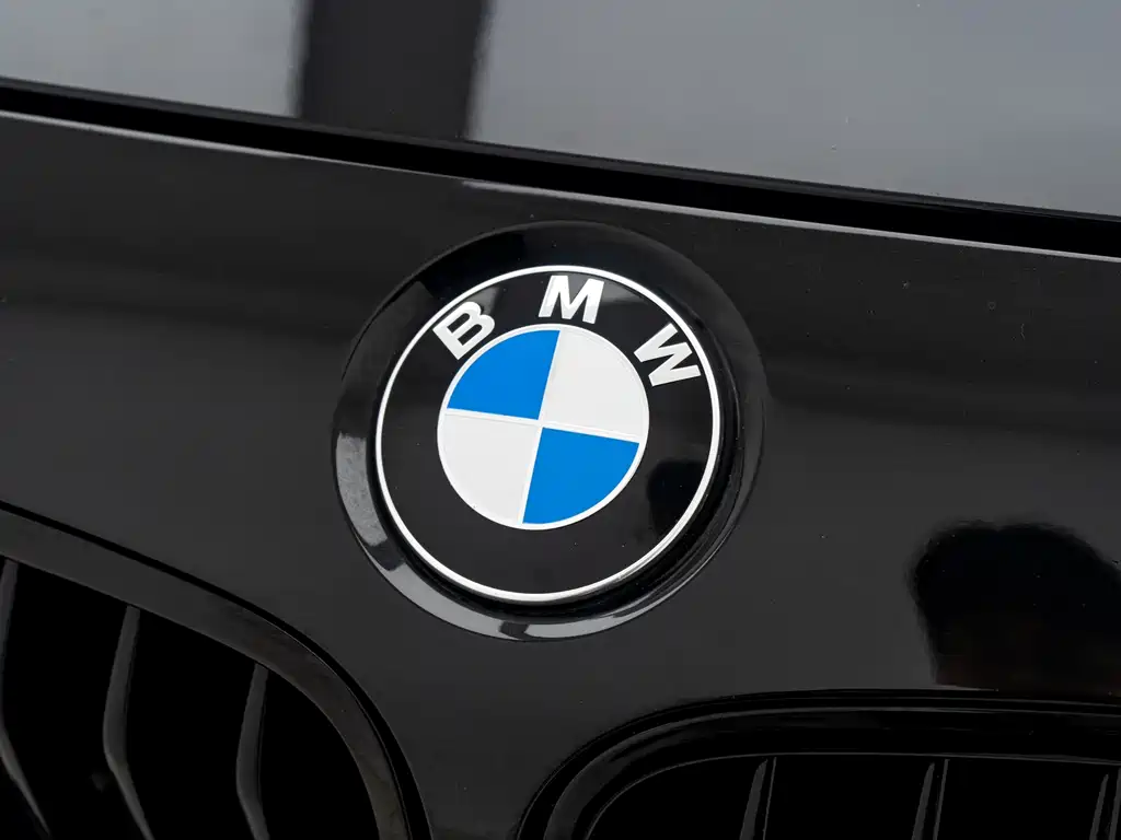 BMW BMW 3 Series 2018 330Li M Sport Shadow Night Edition 2018 - thumbnail 19