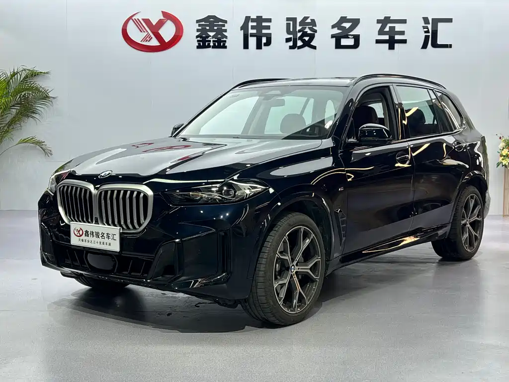 BMW BMW X5 2025 xDrive 30Li M Sport Shadow Night Package 2025 - thumbnail 2