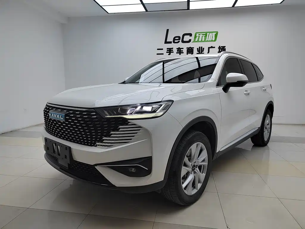 Haval Haval H6 New Energy 2023 DHT-PHEV 110KM Changxing Edition 2024
