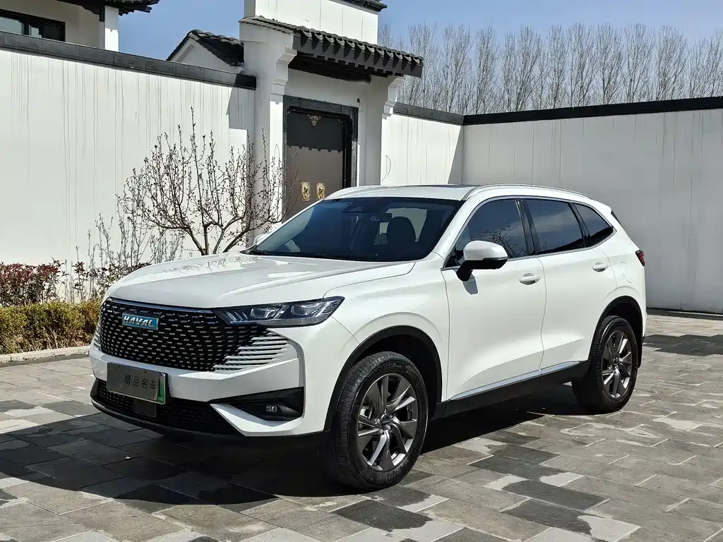 Haval Haval H6 New Energy 2023 DHT-PHEV 110KM Changxing Edition 2023