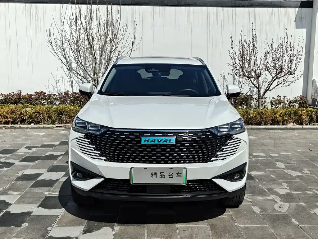 Haval Haval H6 New Energy 2023 DHT-PHEV 110KM Changxing Edition 2023 - thumbnail 2