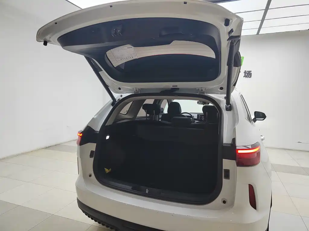 Haval Haval H6 New Energy 2023 DHT-PHEV 110KM Changxing Edition 2024 - thumbnail 15