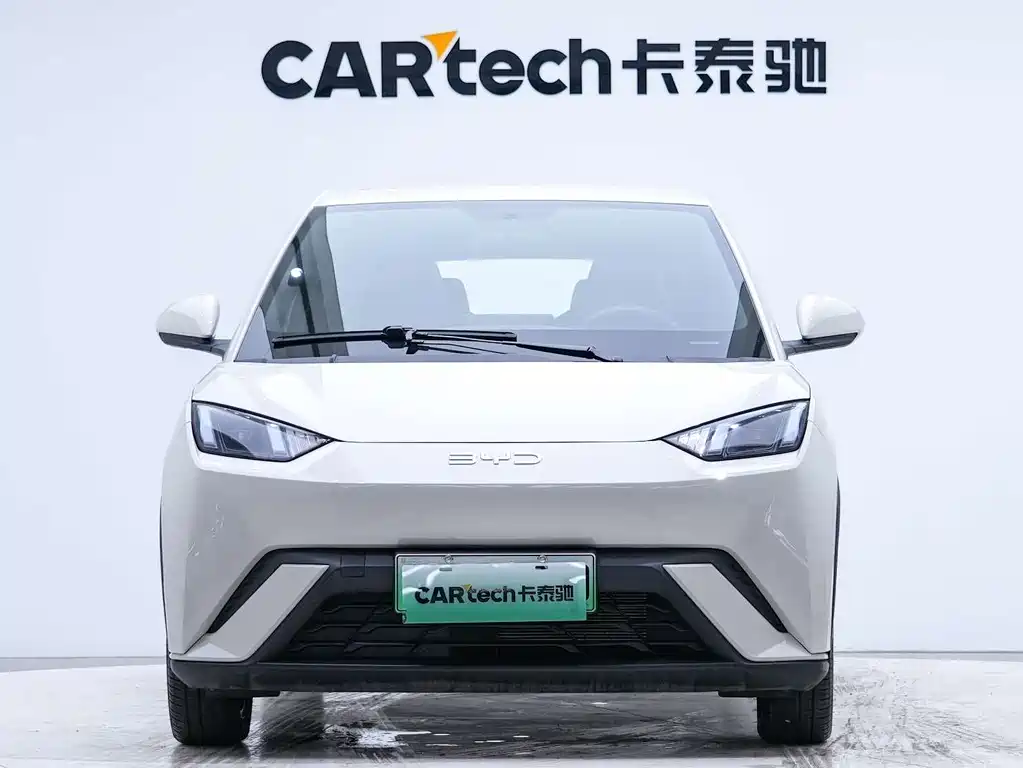 BYD BYD Haiou 2025 305km Freedom Edition 2025 - thumbnail 5