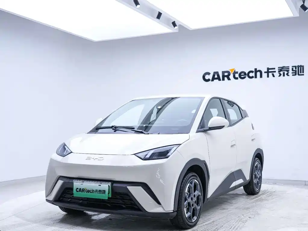 BYD BYD Haiou 2025 305km Freedom Edition 2025 - thumbnail 7