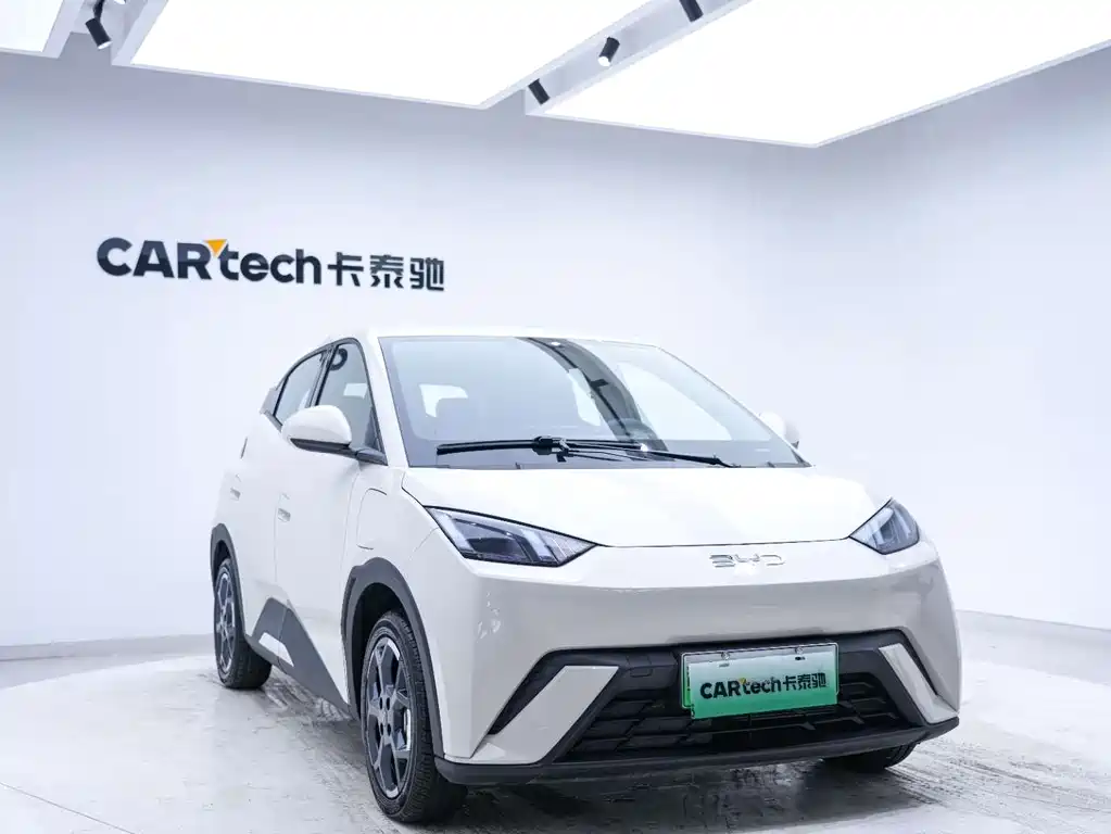 BYD BYD Haiou 2025 305km Freedom Edition 2025 - thumbnail 9