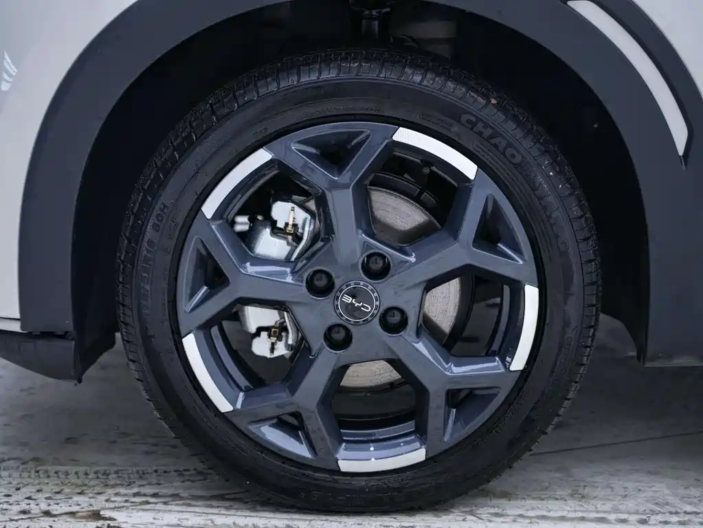 BYD BYD Haiou 2025 305km Freedom Edition 2025 - thumbnail 11