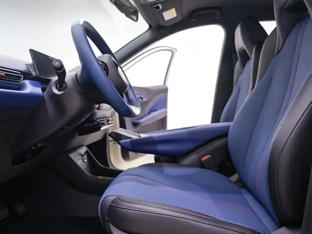 BYD BYD Haiou 2025 305km Freedom Edition 2025 - thumbnail 20