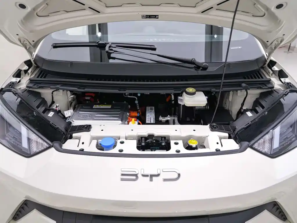 BYD BYD Haiou 2025 305km Freedom Edition 2025 - thumbnail 21