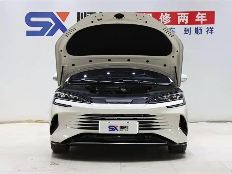 BYD BYD Seal 2023 DM-i 1.5L 121km Premium Edition 2024 - thumbnail 18