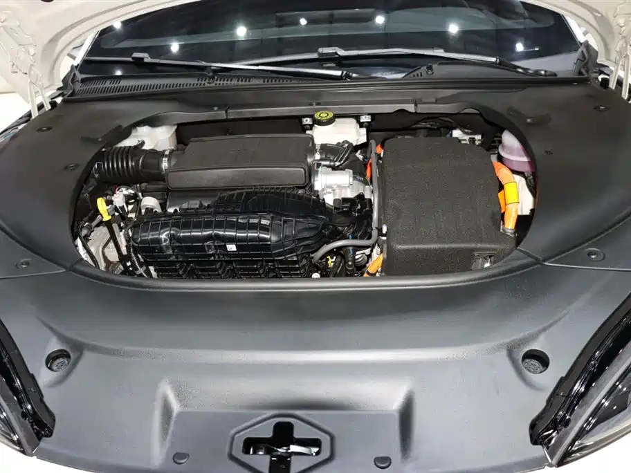 BYD BYD Seal 2023 DM-i 1.5L 121km Premium Edition 2024 - thumbnail 19