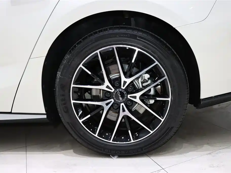 BYD BYD Seal 2023 DM-i 1.5L 121km Premium Edition 2024 - thumbnail 20