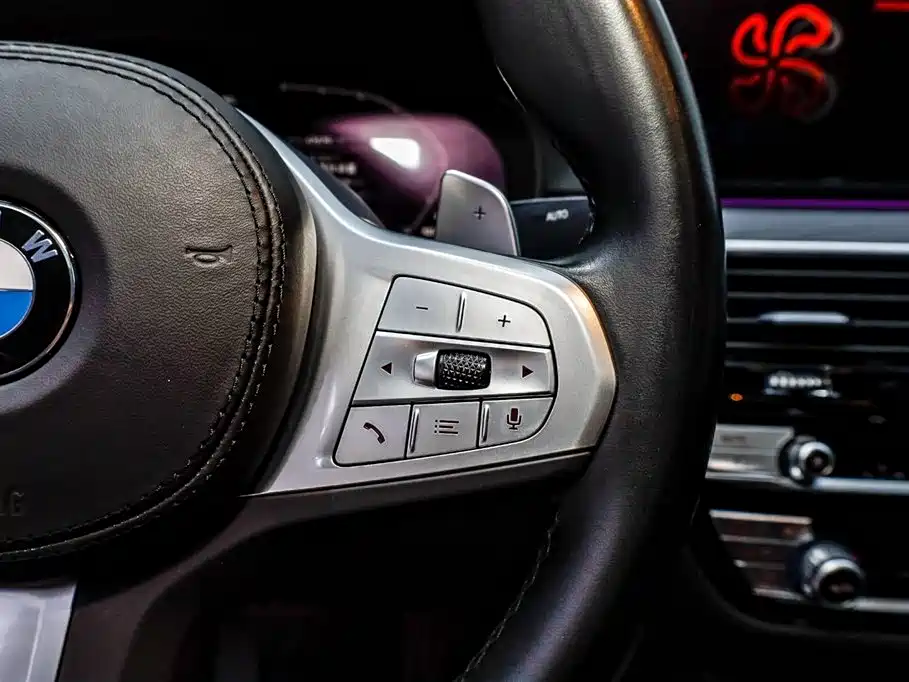 BMW BMW 5 Series 2023 530Li Leading Model M Sport Package 2023 - thumbnail 29