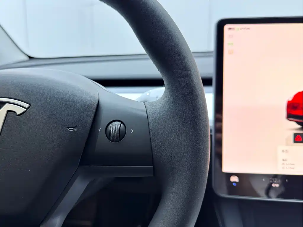 Tesla Model Y 2022 Rear-Wheel Drive 2023 - thumbnail 14