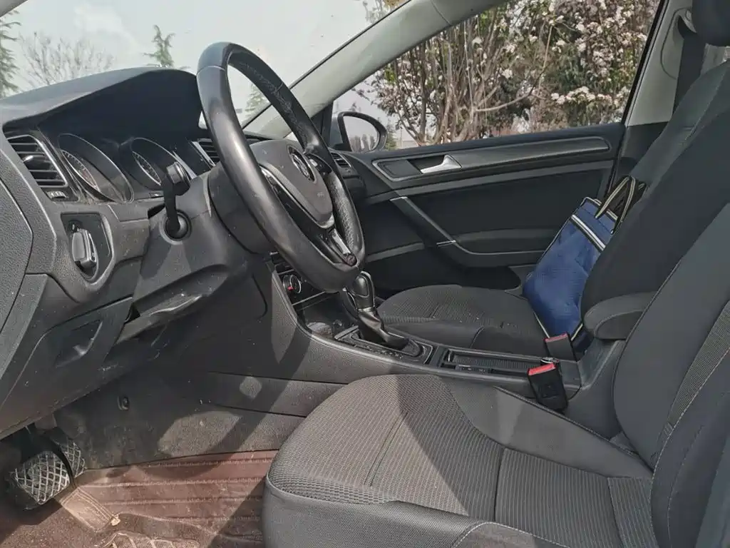 Volkswagen Volkswagen Golf Import 2019 1.8TSI Station Wagon 2019 - thumbnail 4